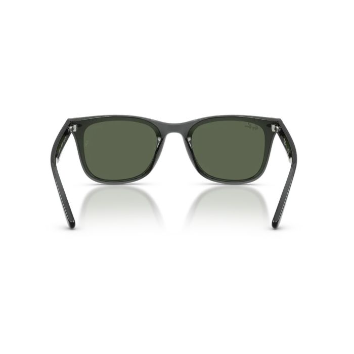 Ray-Ban RB4420 691971