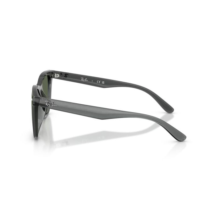 Ray-Ban RB4420 691971