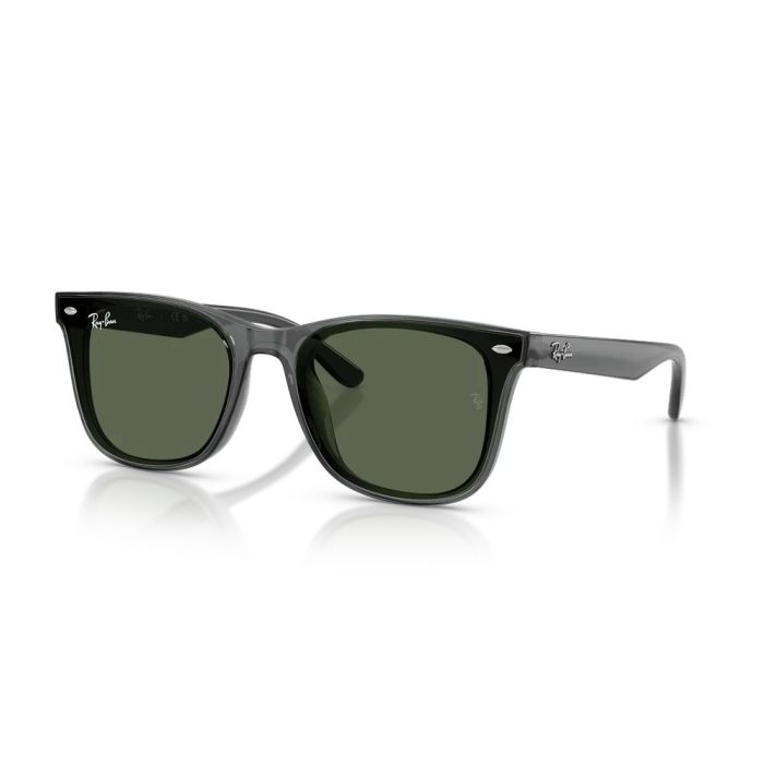 Ray-Ban RB4420 691971