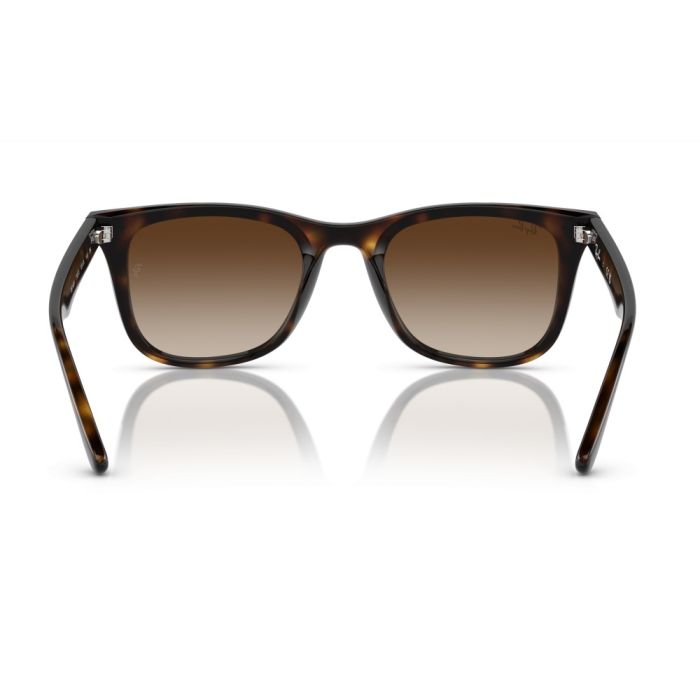 Ray-Ban RB4420 710/13