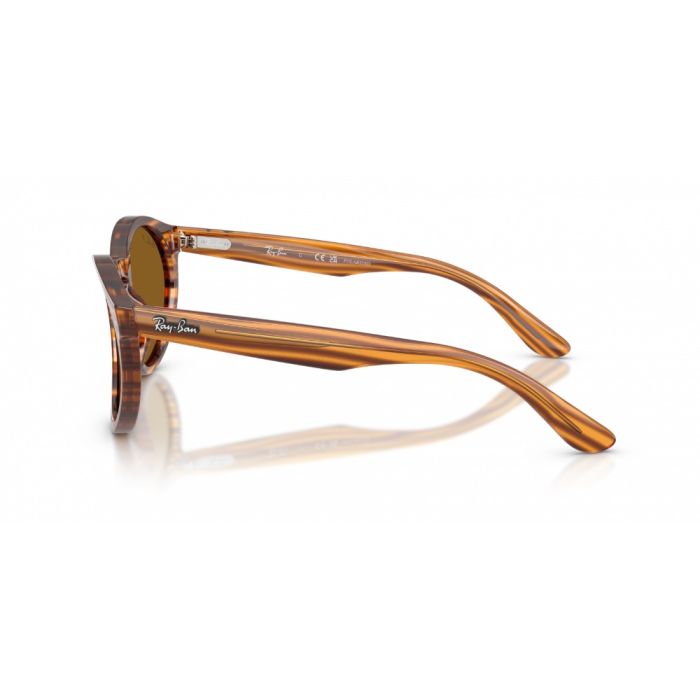 Ray-Ban RBR0505S 679183