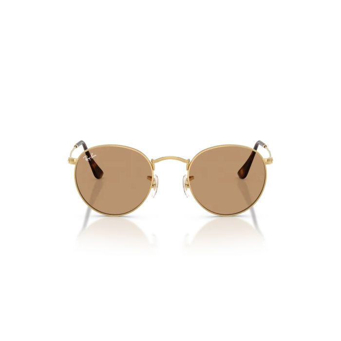 Ray-Ban ROUND METAL RB3447 001/53 47