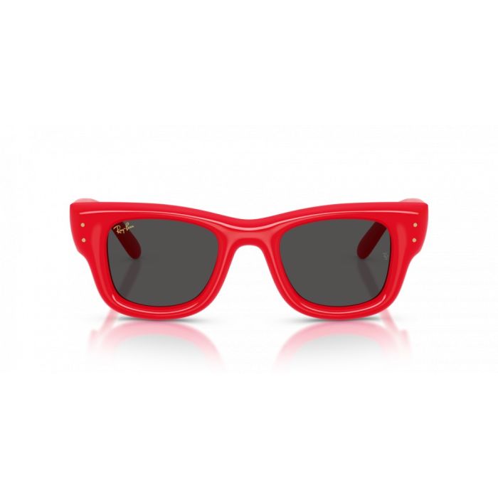 Ray-Ban Wayfarer Puffer RB4940 683187 47