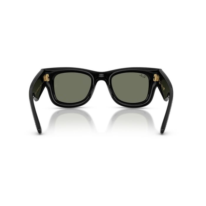 Ray-Ban Wayfarer Puffer RB4940BP 686530