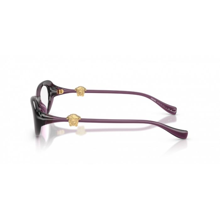 Versace 0VE3381U 5536 50